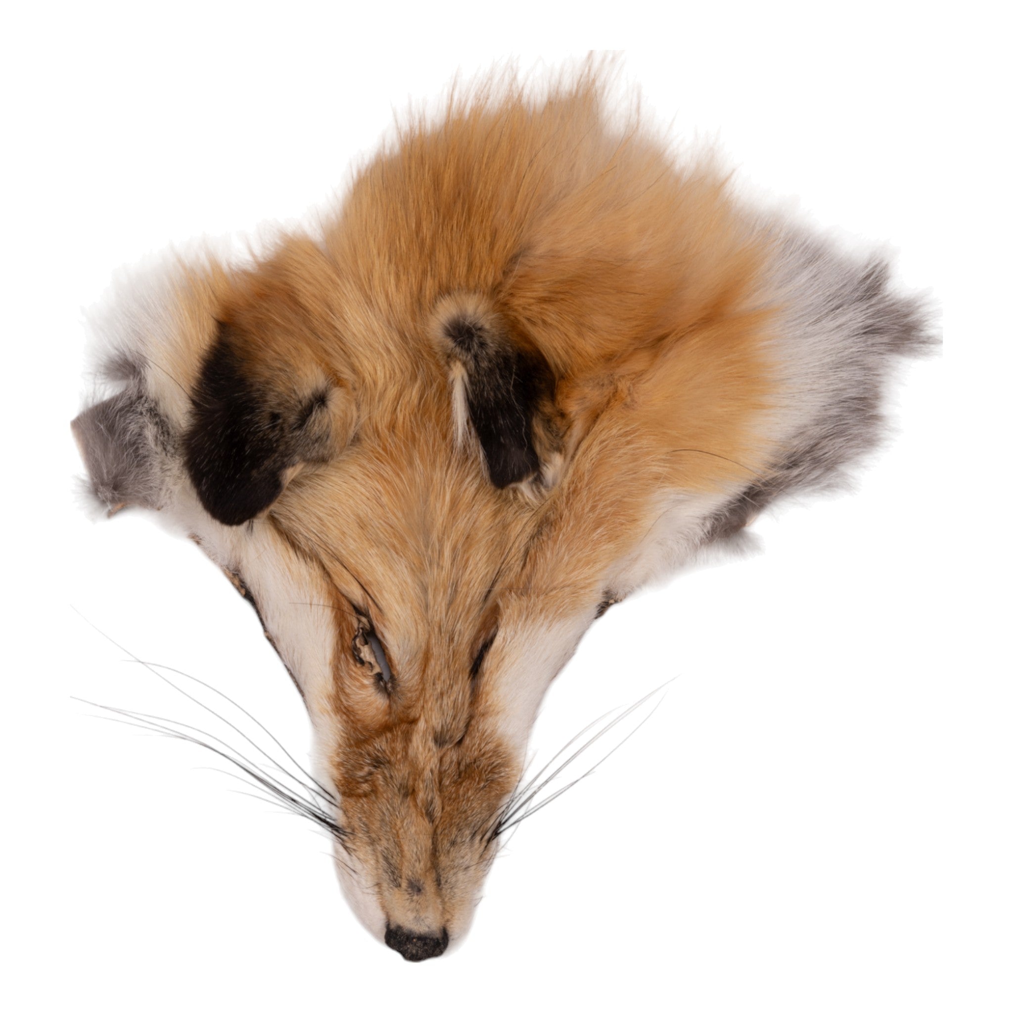 Red Fox Fur Pelt