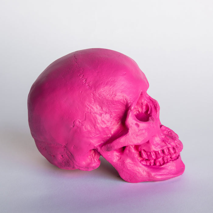 Faux Human Skull Replica // Hot Pink — Skulls Unlimited