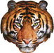 I Am Tiger 550 Piece Puzzle