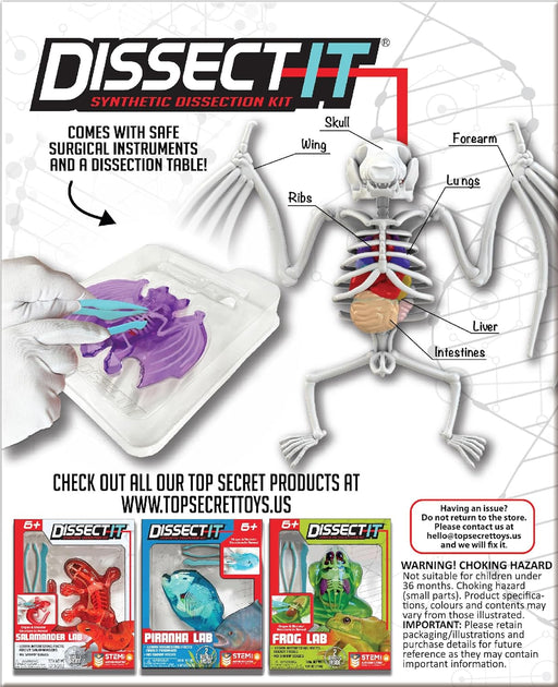 DISSECT IT - Bat