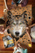 I Am Wolf 550 Piece Puzzle