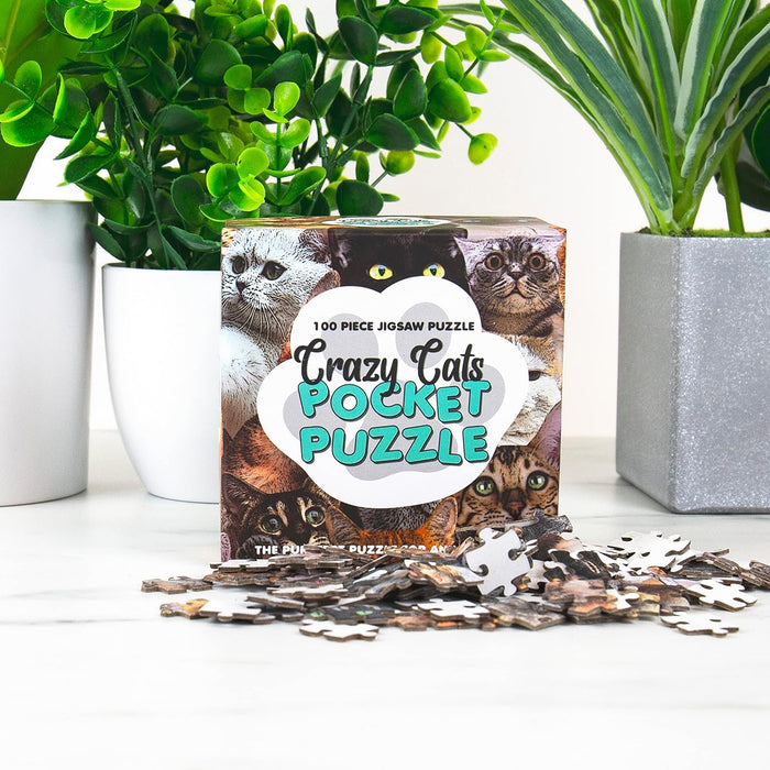 Crazy Cats Pocket Puzzle