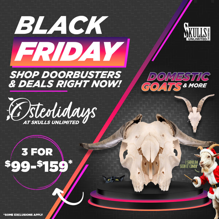 Black Friday GoatBuster Savings!