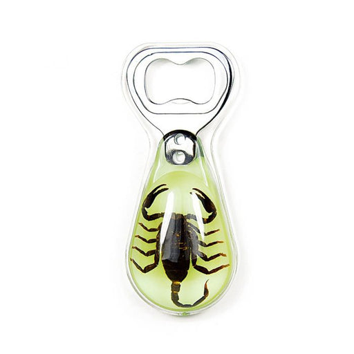 Real Black Scorpion in Acrylic Bottle Opener