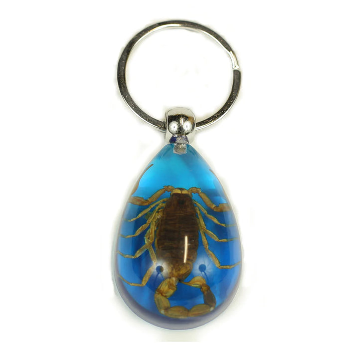 Real Golden Scorpion in Acrylic Keychain