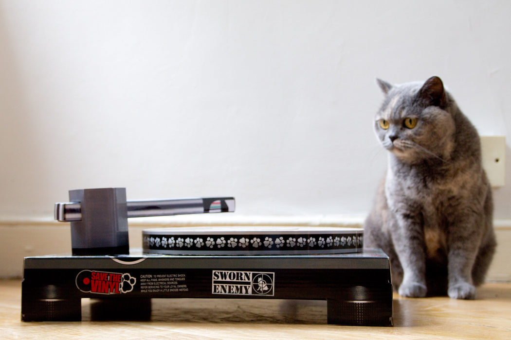 Cat Scratch DJ Deck