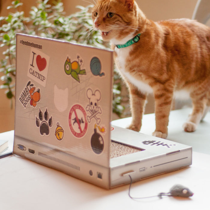 Cat Laptop Scratch Pad