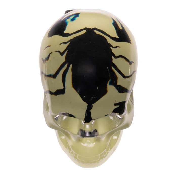 Real Black Scorpion in Acrylic Skull Magnet - Glow