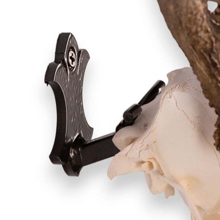 Metal Skull Mount - The 'Buck' Bracket