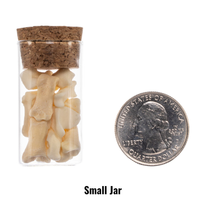 Real Jar of Bones