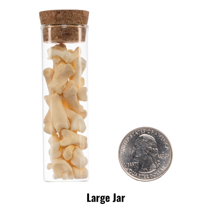 Real Jar of Bones