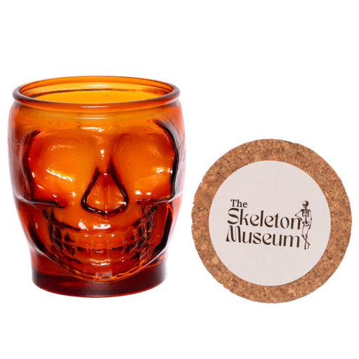 The Skeleton Museum 15 oz Skull Jar Candle