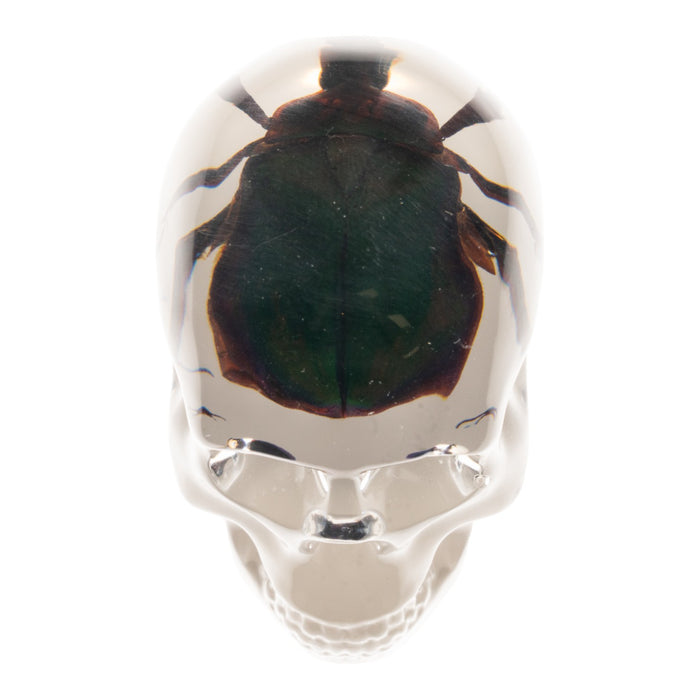 Real Green Rose Chafer Beetle in Acrylic Skull Magnet