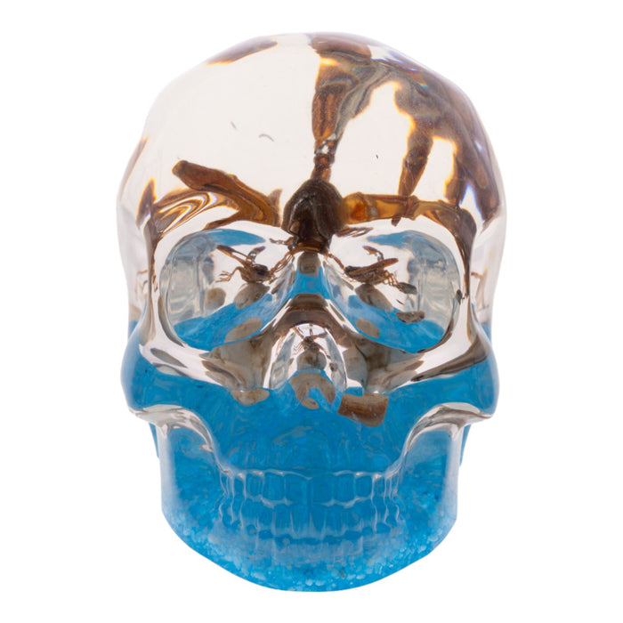 Real Golden Scorpion in Acrylic Skull