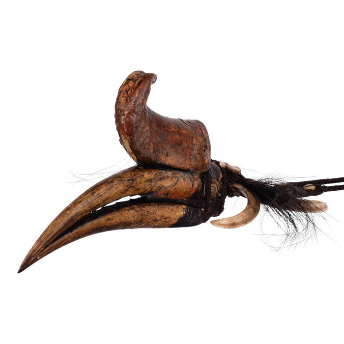 Real Rhinoceros Hornbill Skull Tribal Necklace