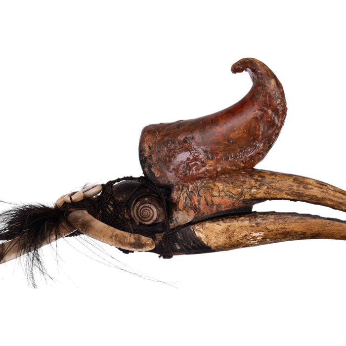 Real Rhinoceros Hornbill Skull Tribal Necklace