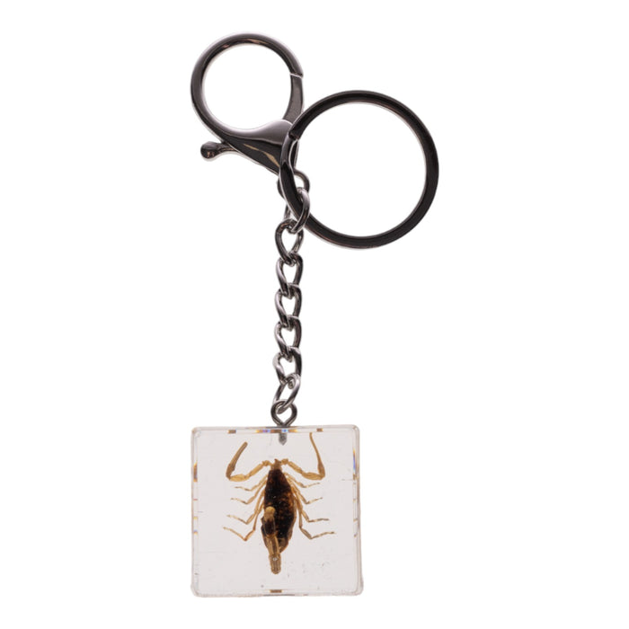 Real Golden Scorpion in Acrylic Cube Keychain