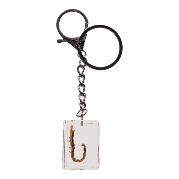 Real Golden Scorpion in Acrylic Cube Keychain