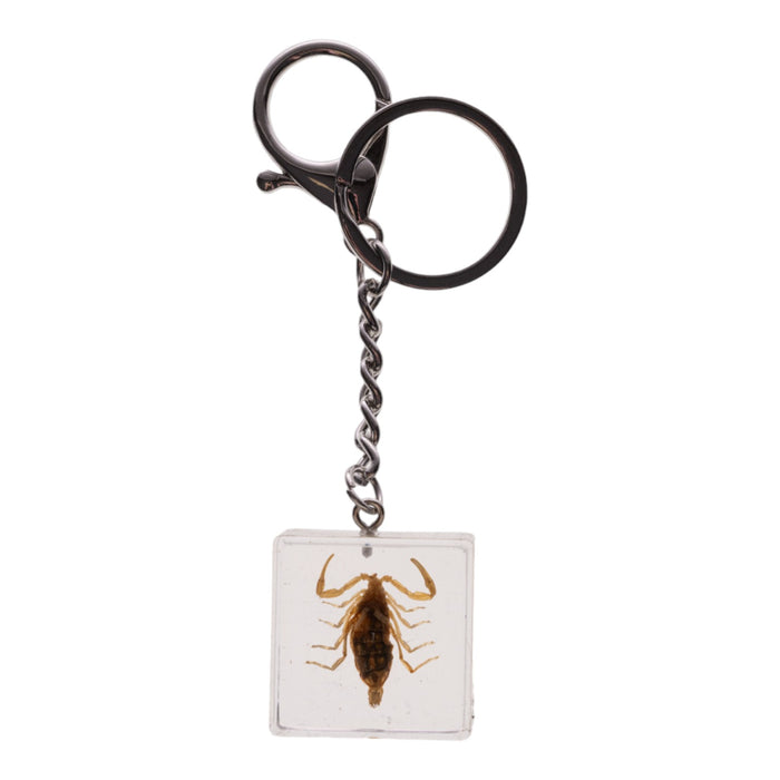 Real Golden Scorpion in Acrylic Cube Keychain