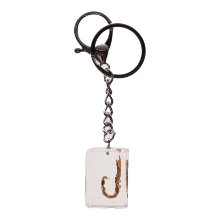 Real Golden Scorpion in Acrylic Cube Keychain