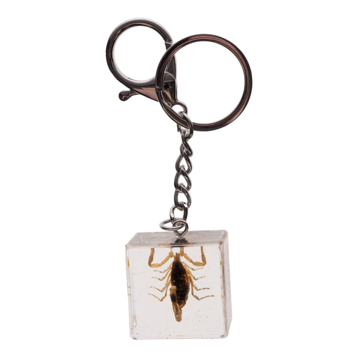 Real Golden Scorpion in Acrylic Cube Keychain