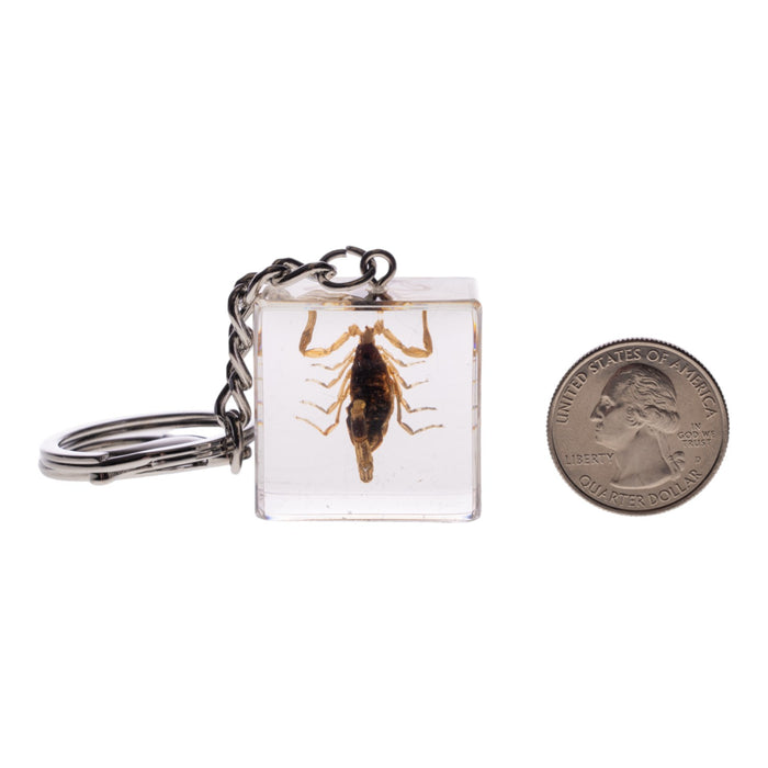 Real Golden Scorpion in Acrylic Cube Keychain