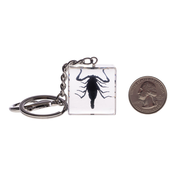 Real Black Scorpion in Acrylic Cube Keychain