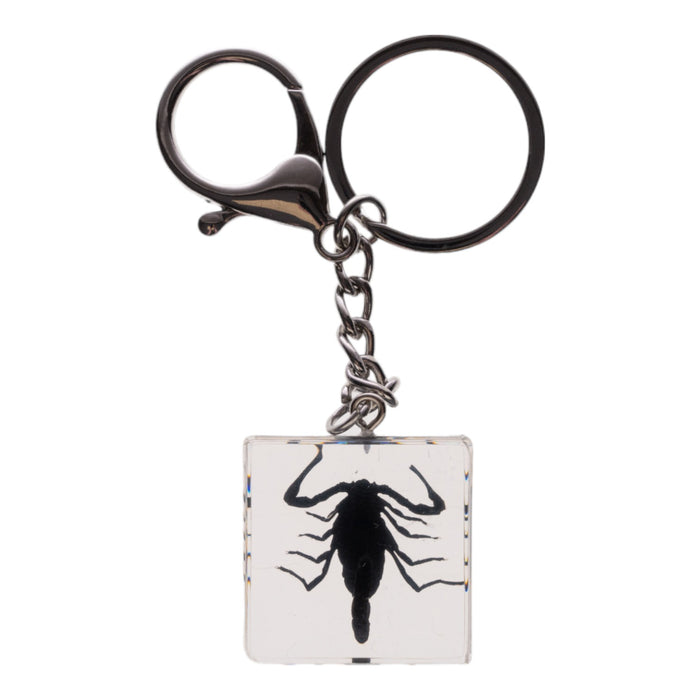 Real Black Scorpion in Acrylic Cube Keychain