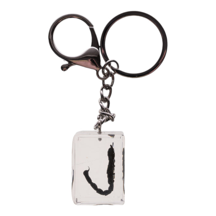 Real Black Scorpion in Acrylic Cube Keychain