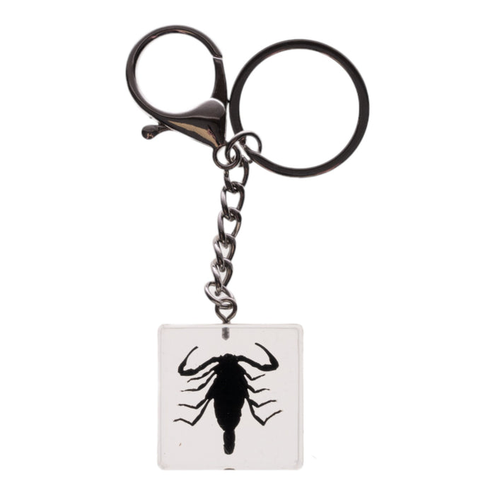 Real Black Scorpion in Acrylic Cube Keychain