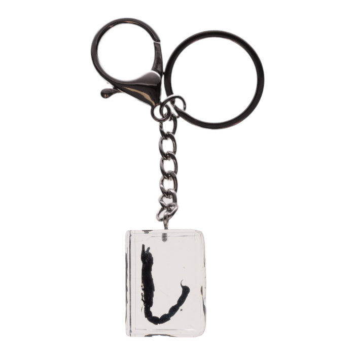 Real Black Scorpion in Acrylic Cube Keychain