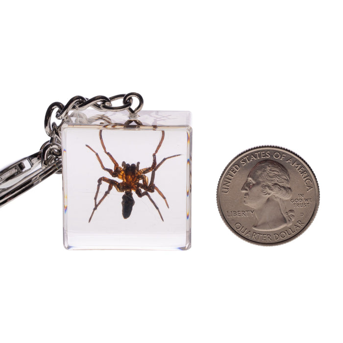 Real Spider in Acrylic Cube Keychain