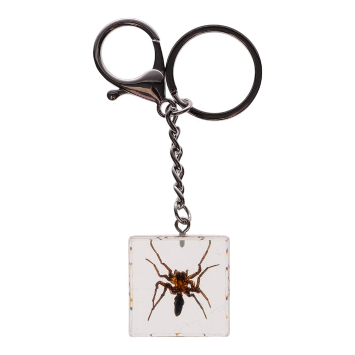 Real Spider in Acrylic Cube Keychain