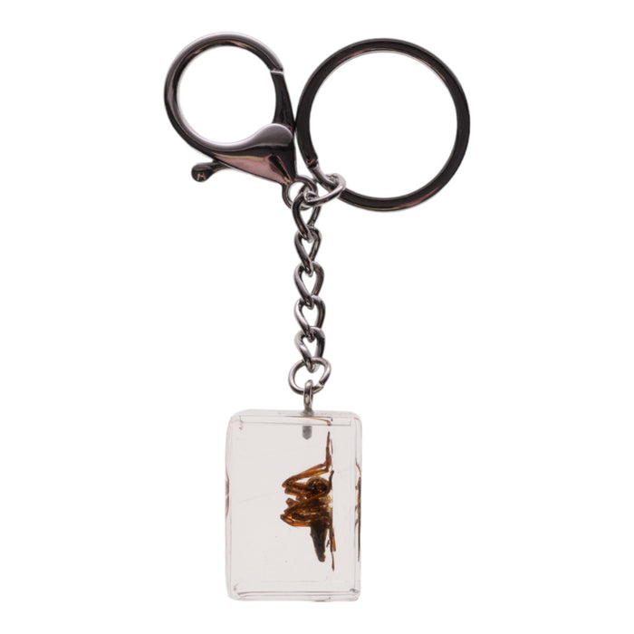 Real Spider in Acrylic Cube Keychain