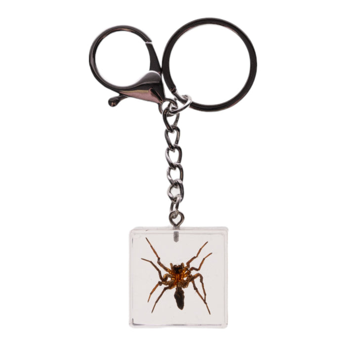 Real Spider in Acrylic Cube Keychain