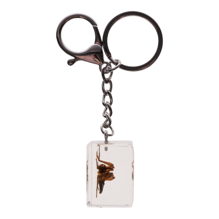 Real Spider in Acrylic Cube Keychain