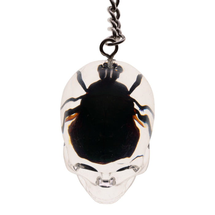 Real Chafer Beetle in Acrylic Skull Keychain