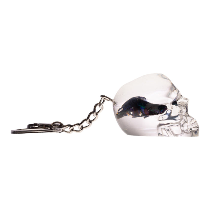 Real Chafer Beetle in Acrylic Skull Keychain