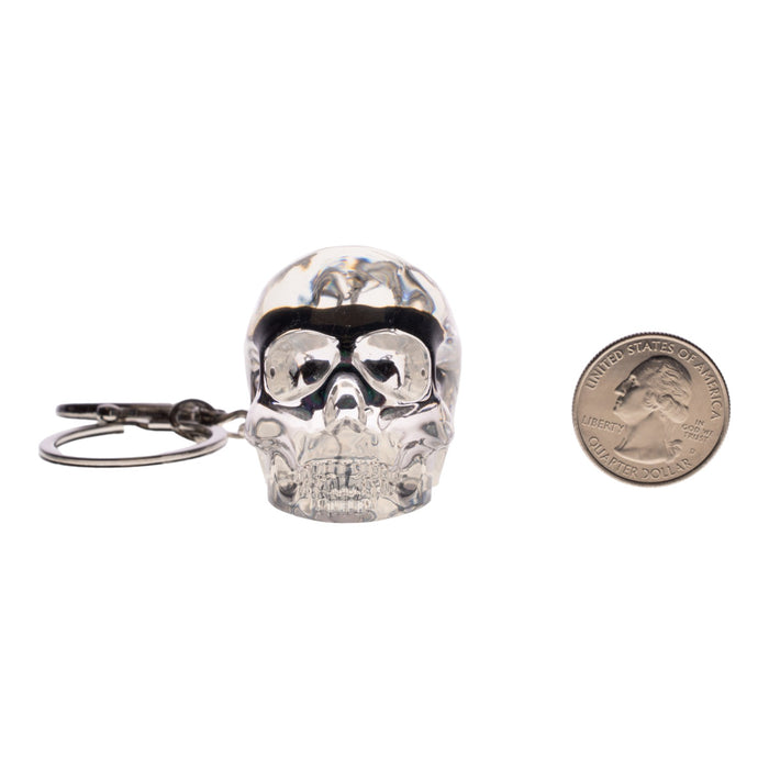 Real Chafer Beetle in Acrylic Skull Keychain