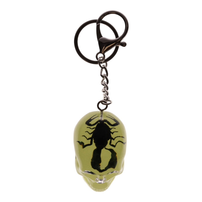 Real Black Scorpion in Acrylic Skull Keychain - Glow