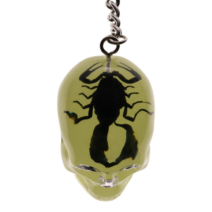 Real Black Scorpion in Acrylic Skull Keychain - Glow