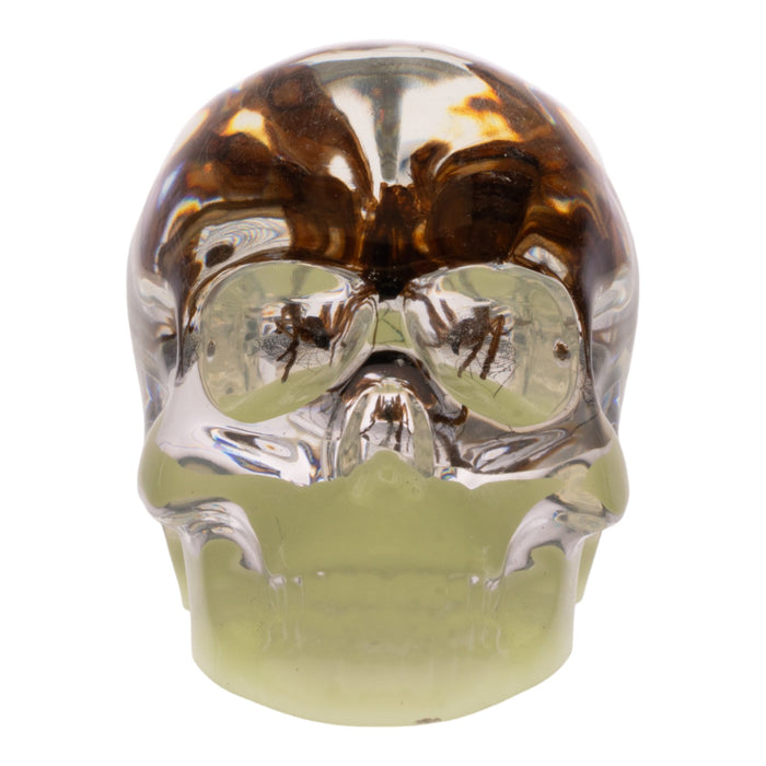 Real Spider in Acrylic Skull Keychain - Glow