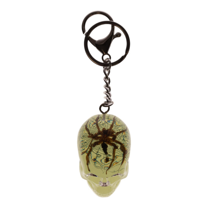 Real Spider in Acrylic Skull Keychain - Glow