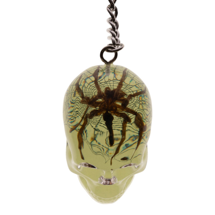 Real Spider in Acrylic Skull Keychain - Glow