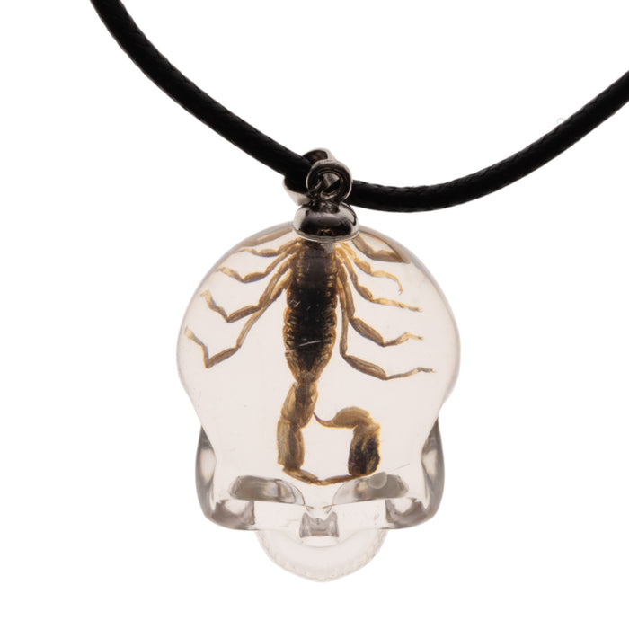 Real Golden Scorpion in Acrylic Skull Necklace