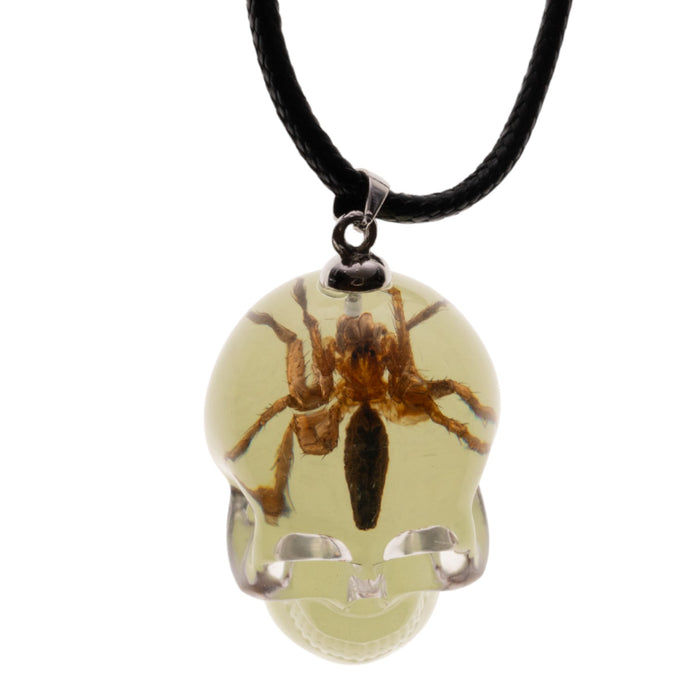 Real Spider in Acrylic Skull Necklace - Glow