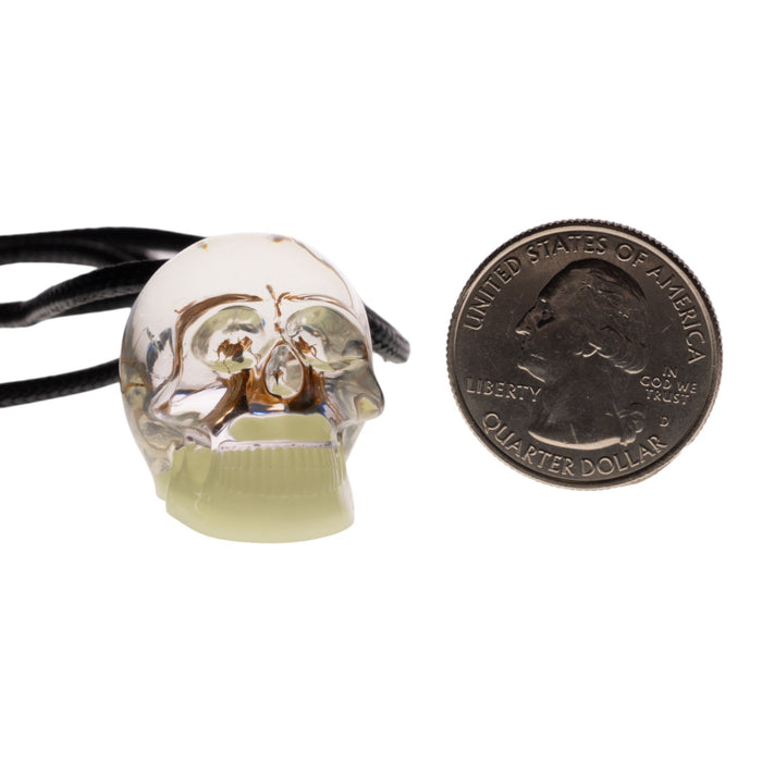 Real Spider in Acrylic Skull Necklace - Glow