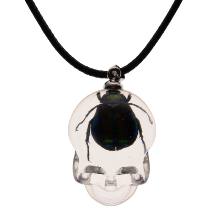 Real Chafer Beetle in Acrylic Skull Necklace