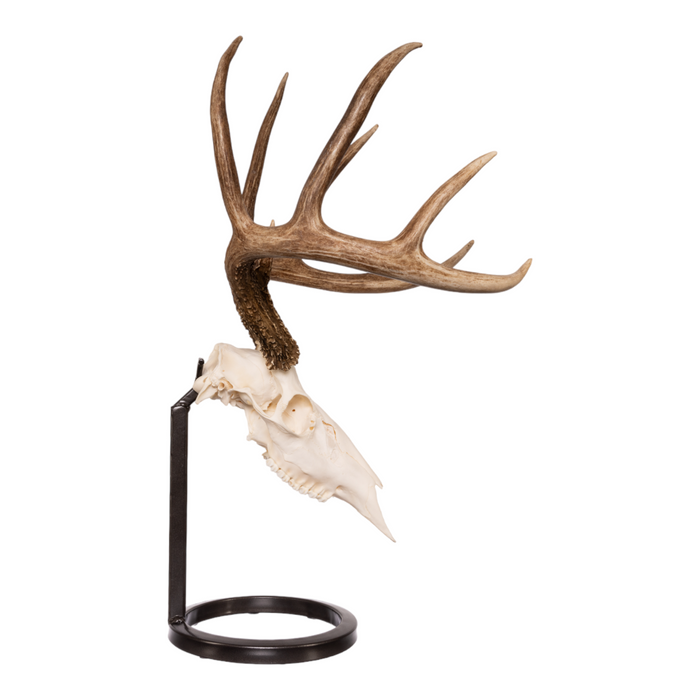 Metal Skull Mount - The Table Bracket Skull Mount