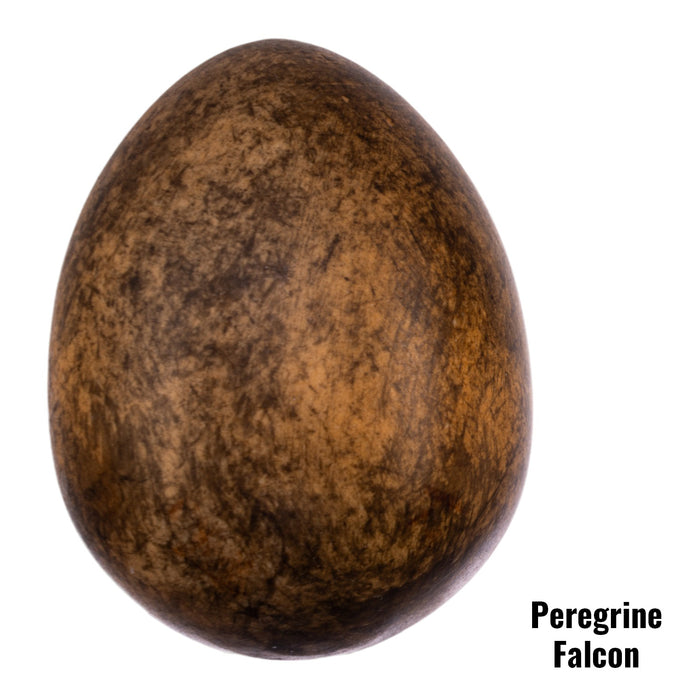 Replica Peregrine Falcon Egg (50 mm)